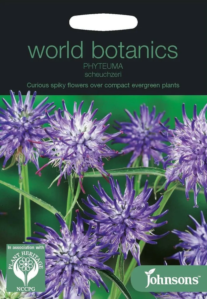 LILLESEEMNED JOHNSON’S SCHEUCHZERI RAPUNTSEL