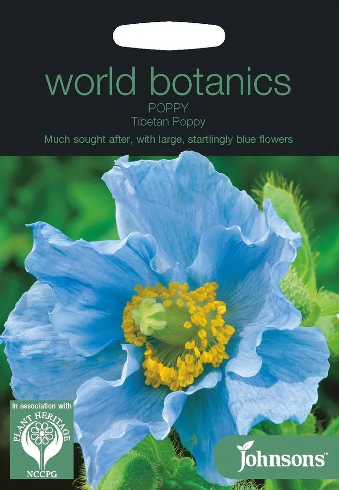 LILLESEEMNED JOHNSON’S EBAMAGUN TIBETAN POPPY