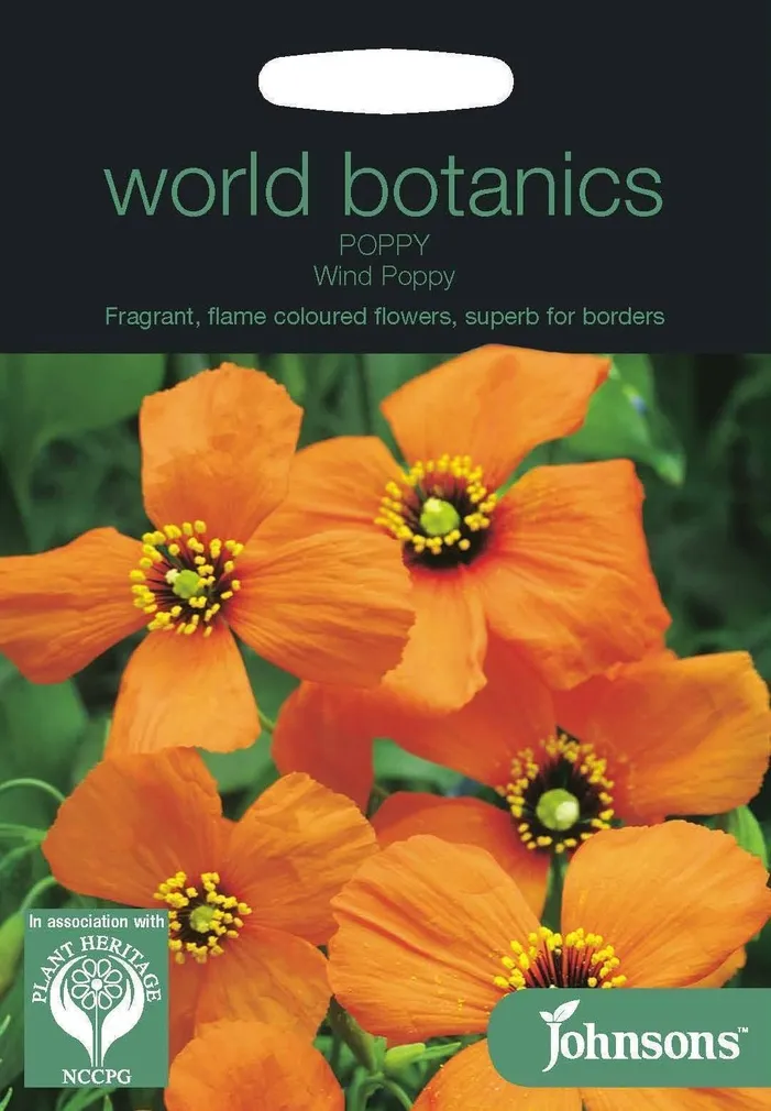 LILLESEEMNED JOHNSON’S MAGUN WIND POPPY