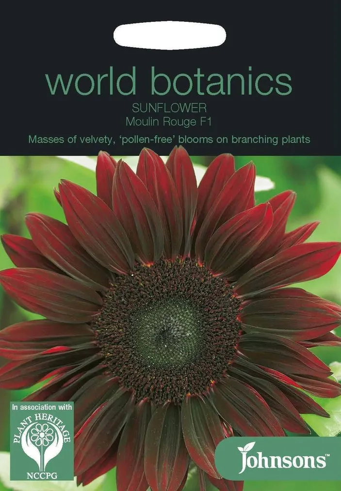 LILLESEEMNED JOHNSON’S PÄEVALILL MOULIN ROUGE F1