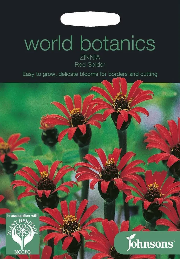 LILLESEEMNED JOHNSON’S PRUUDISÕLG RED SPIDER