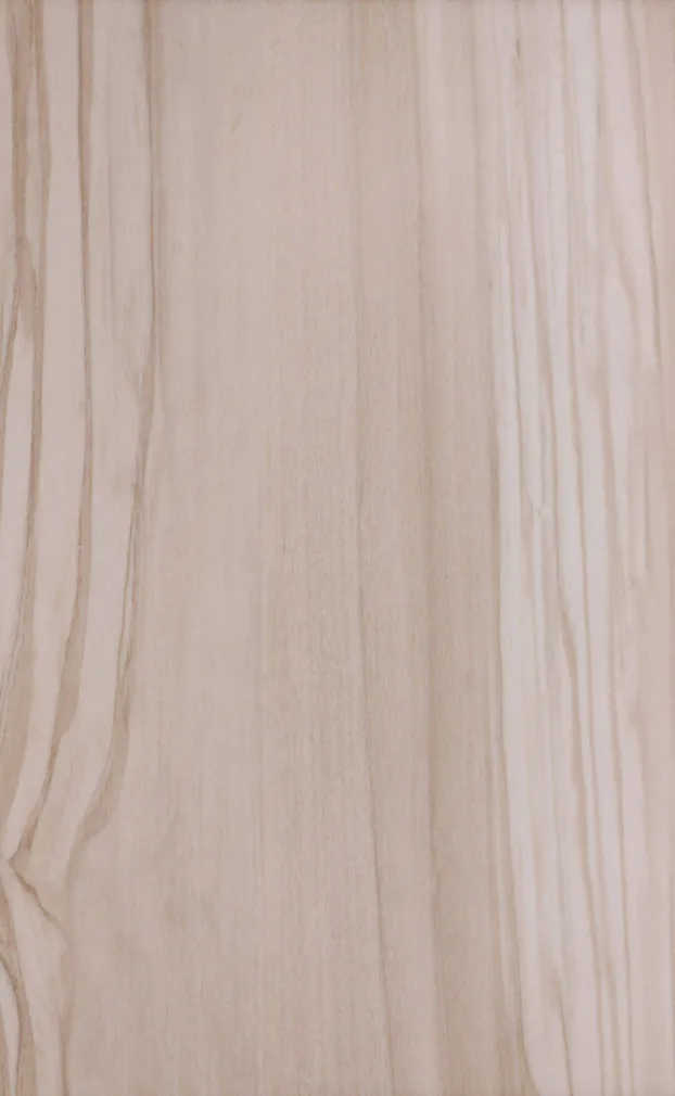 KERAAMILINE SEINAPLAAT KWADRO NEA BROWN 40X25CM