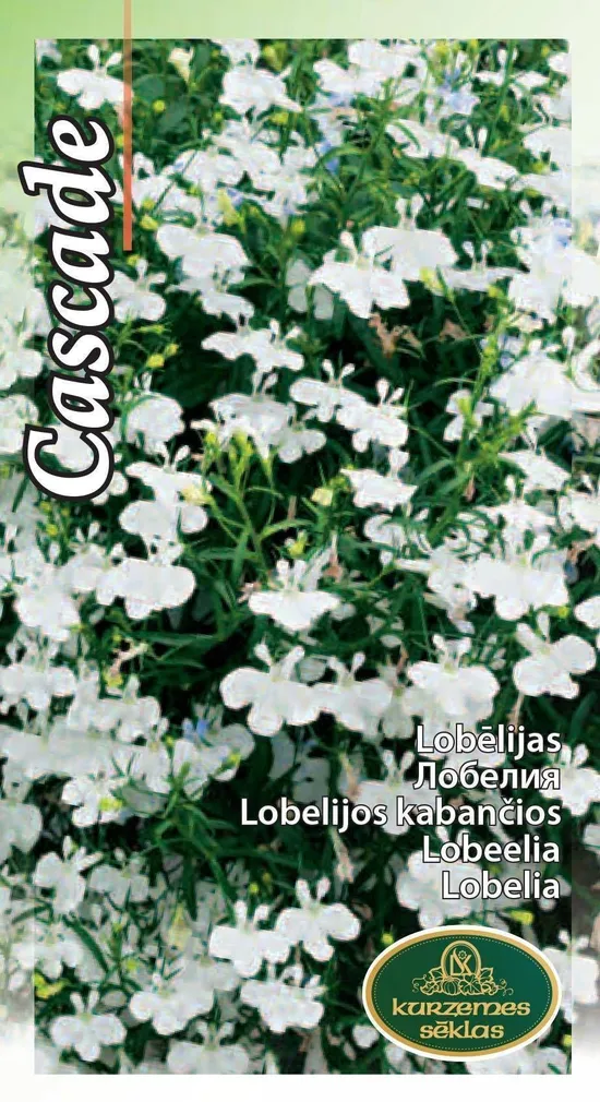 LILLESEEMNED KURZEMES SEKLAS RIPPLOBEELIA VALGE 0,1G