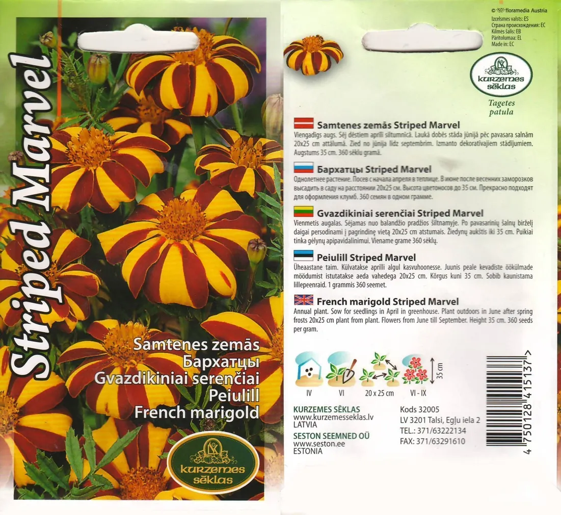 LILLESEEMNED KURZEMES SEKLAS PEIULILL STRIPED 0,3G