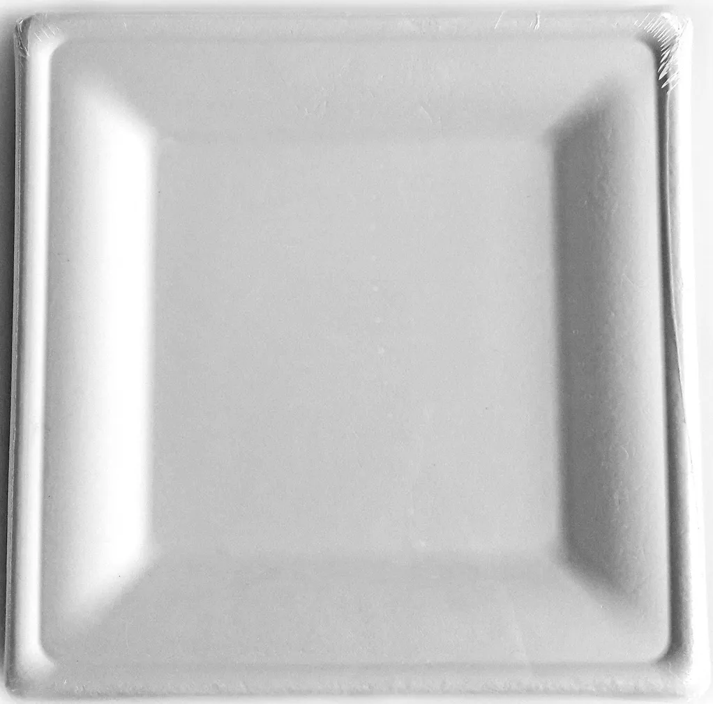 BIOLAGUNEVAD CASATREND KANDILISED TALDRIKUD 20X20CM 10TK PAKIS