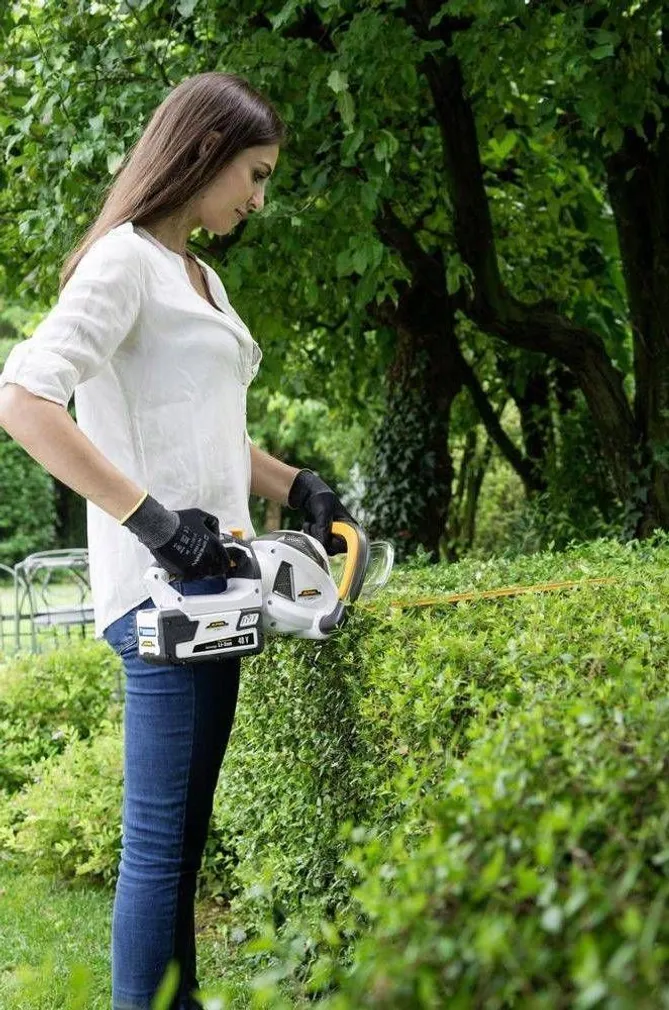 AKUHEKILÕIKUR H 5648 LI 48 V ALPINA GARDEN ILMA AKU JA LAADIJATA