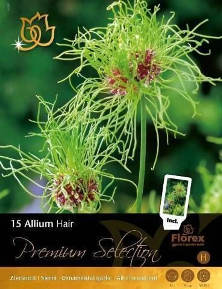 LILLESIBUL LAUK FLOREX HAIR 5/+ 15TK PAKIS