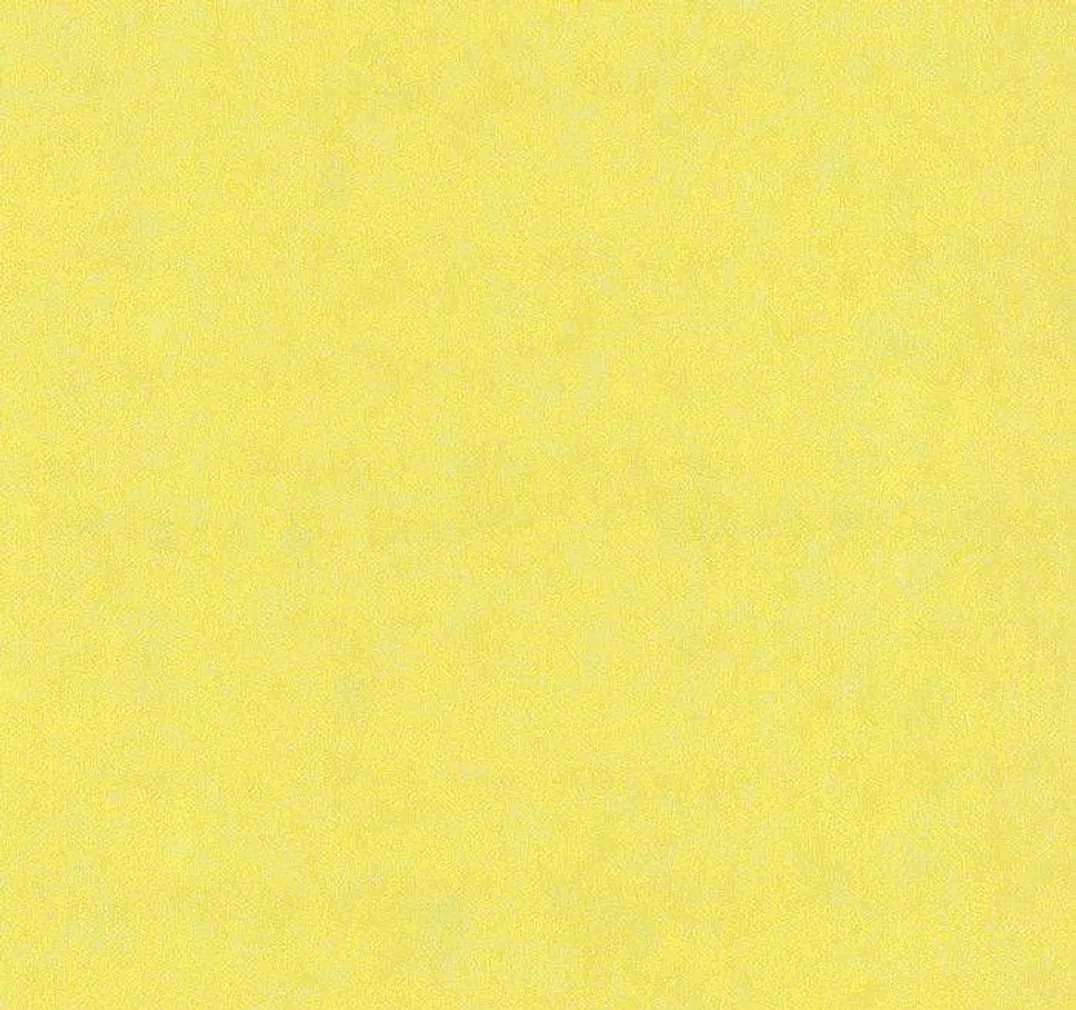 TAPPET P+S EASY WALL 13388-30 0,53X10,05M