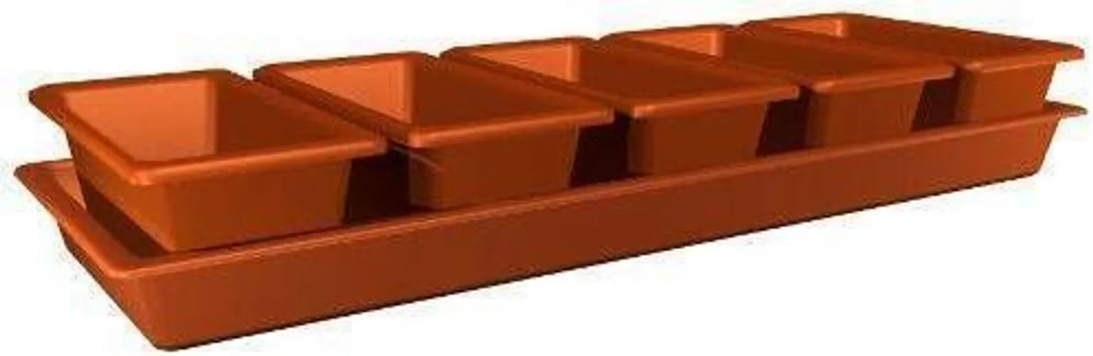 TAIMEKASVATUSE KOMPLEKT MINIGARDEN 5, 60X20X9CM TERRAKOTA
