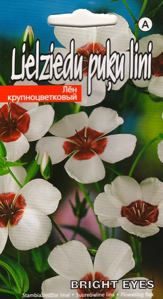 LILLESEEMNED KURZEMES SEKLAS SUUREÕIELINE 'LINA BRIGHT EYES' 0,5G