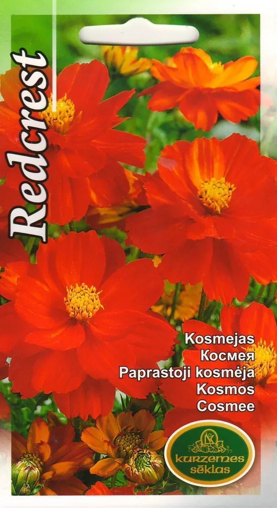 LILLESEEMNED KURZEMES SEKLAS KOSMOS REDCREST PUNANE 0,5 G