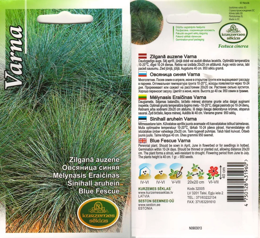 LILLESEEMNED KURZEMES SEKLAS SINIHALL ARUHEIN VARNA 0,2 G