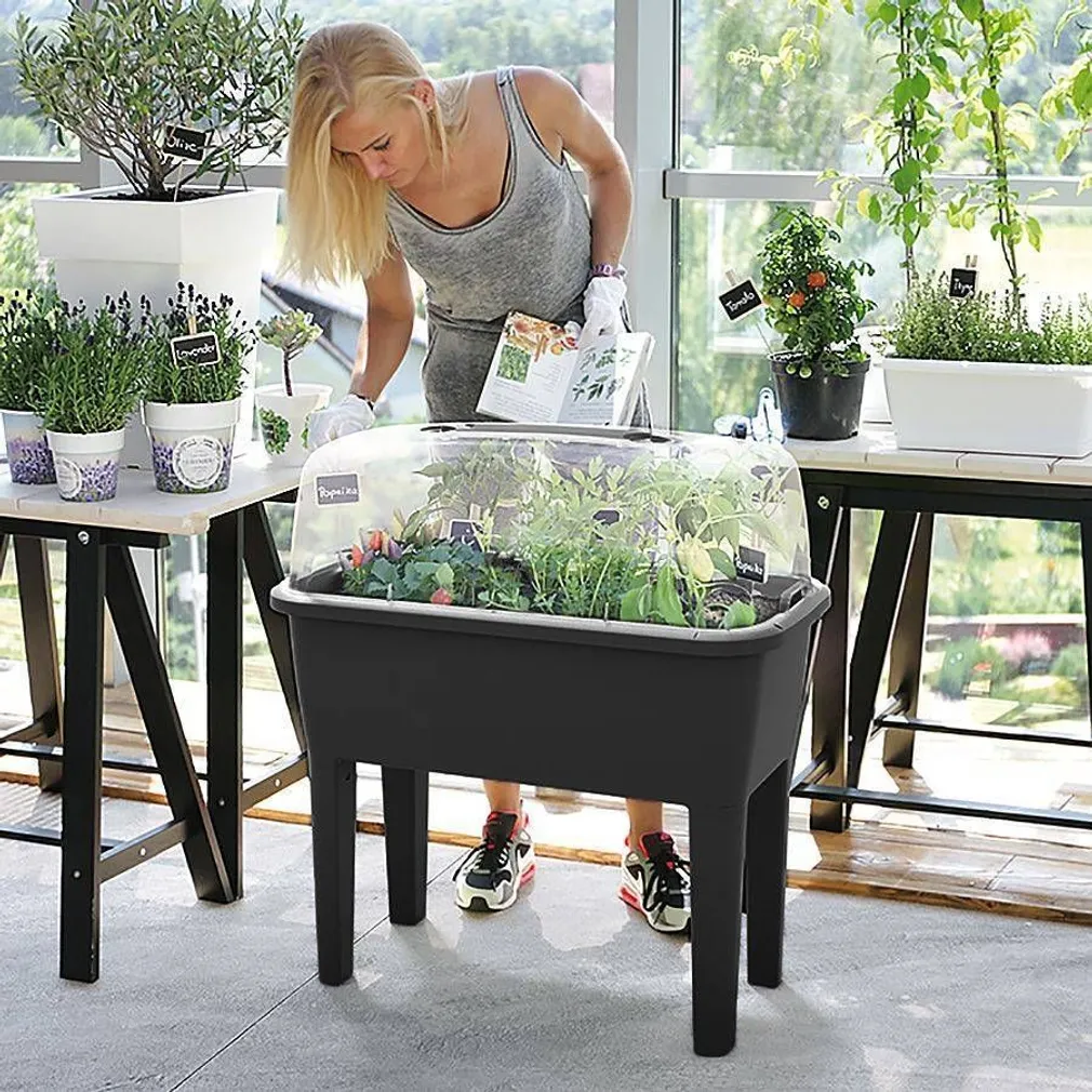 RÕDUKAST 77X38X82CM PROSPERPLAST PLASTIK KATTEGA JALGADEL MUST