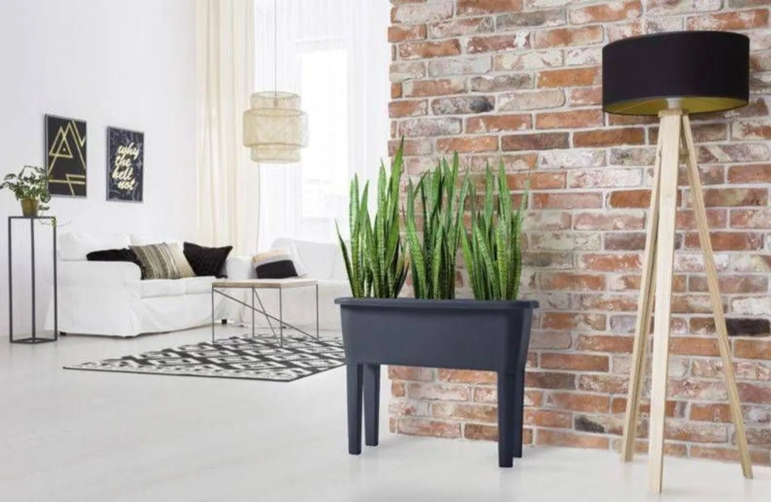 RÕDUKAST 77X38X82CM PROSPERPLAST PLASTIK KATTEGA JALGADEL MUST