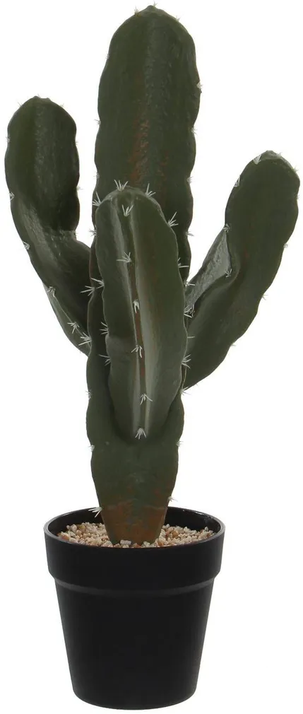 KUNSTTAIM MICA DECORATIONS KAKTUS 25X21X50CM