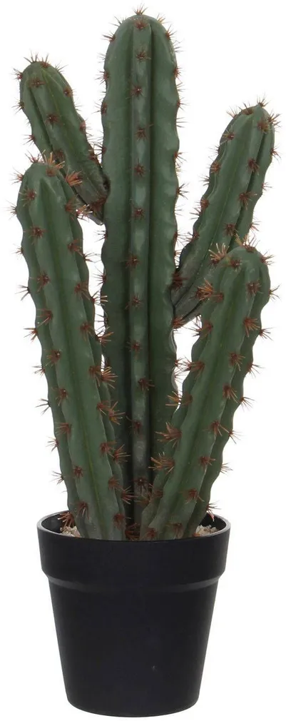 KUNSTTAIM MICA DECORATIONS KAKTUS 20X14X50CM