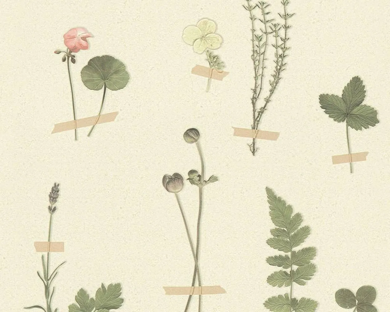 TAPEET FARO 4 30010-1 0,53X10,05M