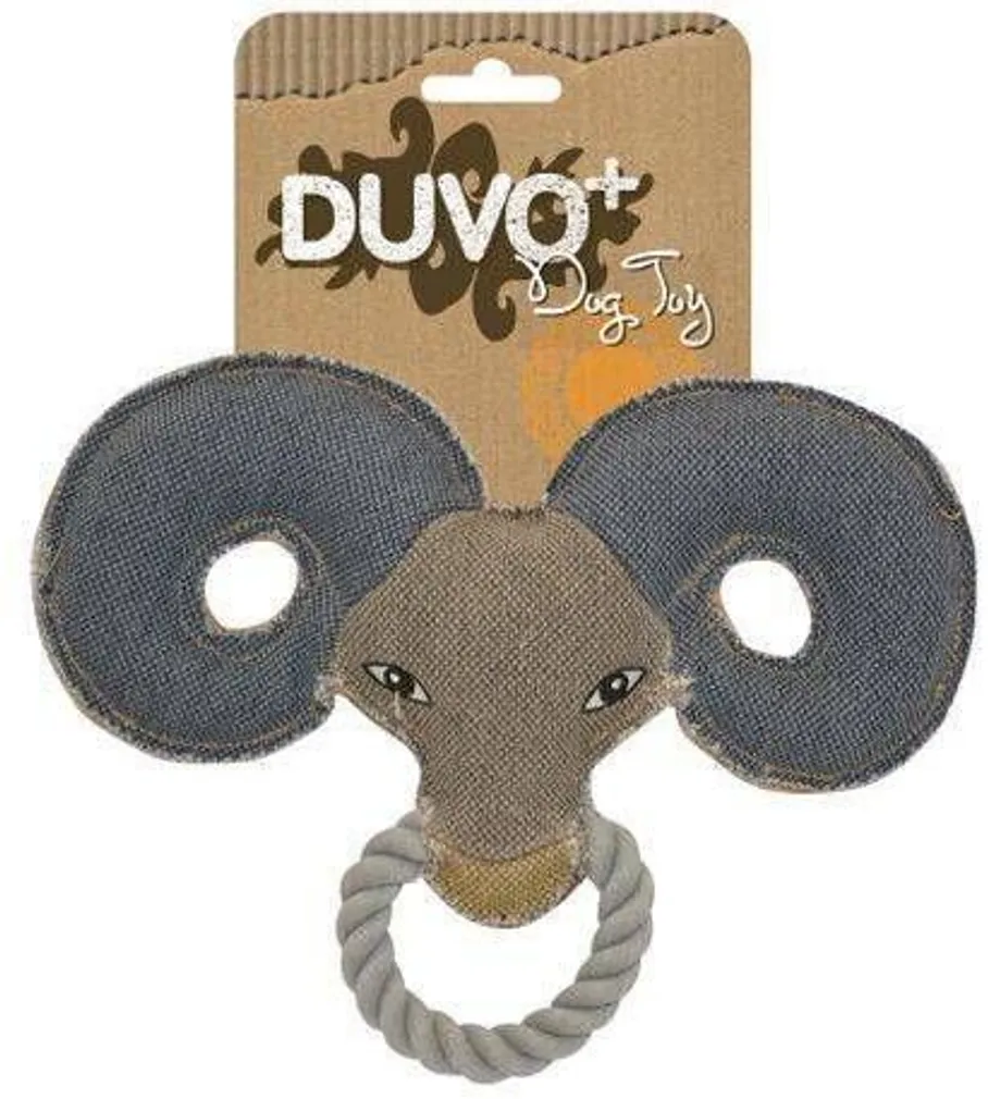 KOERALELU CANVAS OINAS DUVO+