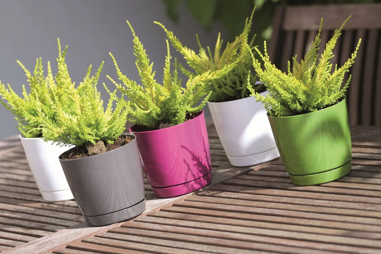 ALUSTALDRIKUGA LILLEPOTT PROSPERPLAST COUBI PLASTIK DIAMEETER 24CM OLIIV