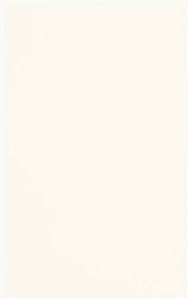 KERAAMILINE SEINAPLAAT PARADYZ MARTYNIKA BIANCO 25X40CM 1,3M² PAKIS