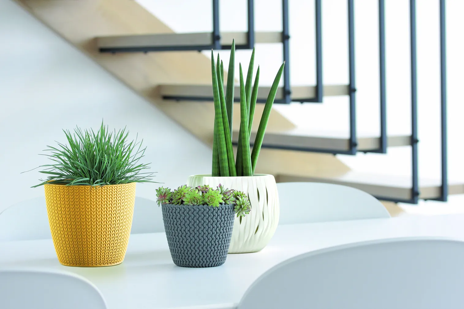 LILLEPOTIÜMBRIS PROSPERPLAST WHEATY PLASTIK Ø16CM KOLLANE