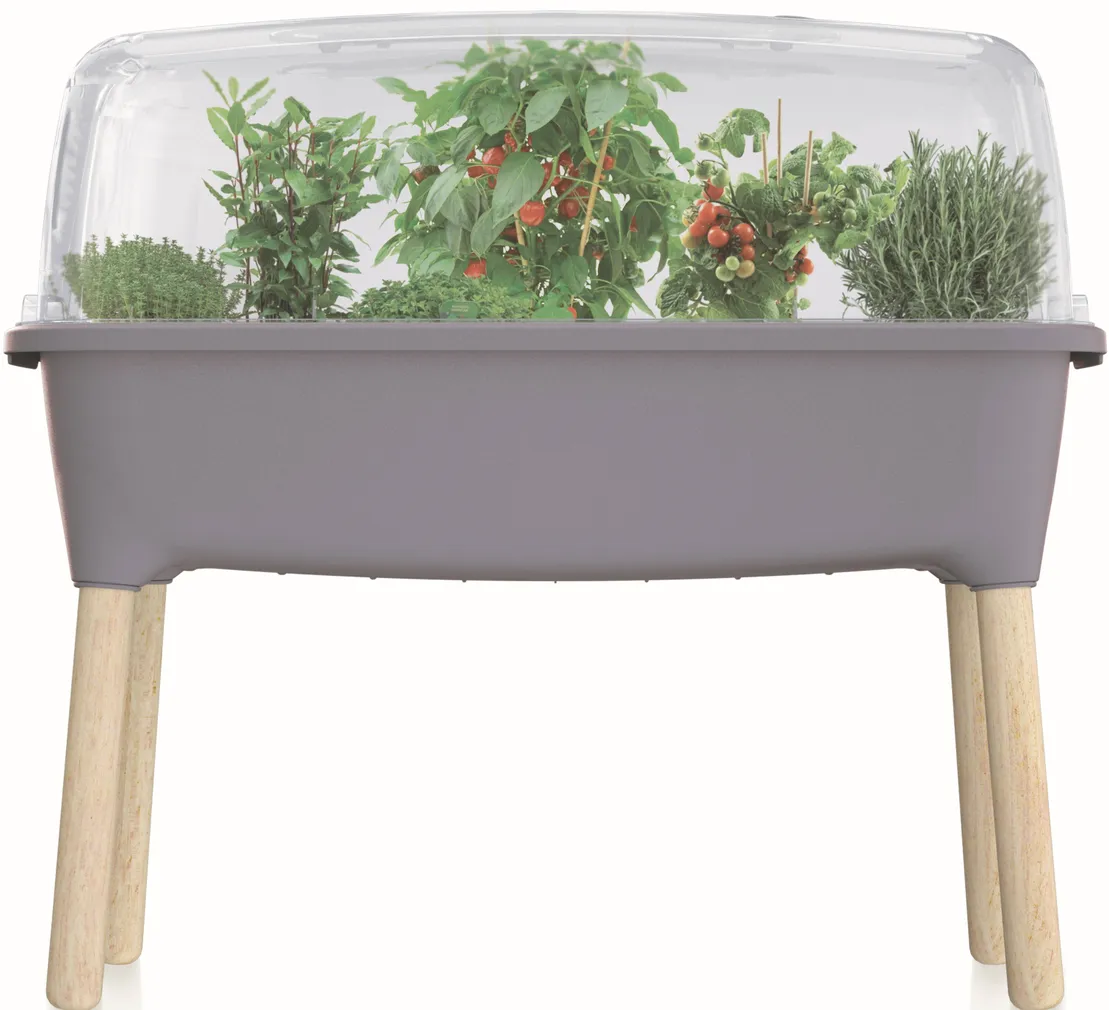 RÕDUKAST PROSPERPLAST PLASTIK KATTEGA 78X37,9X79,5CM KÕRGED JALAD HALL