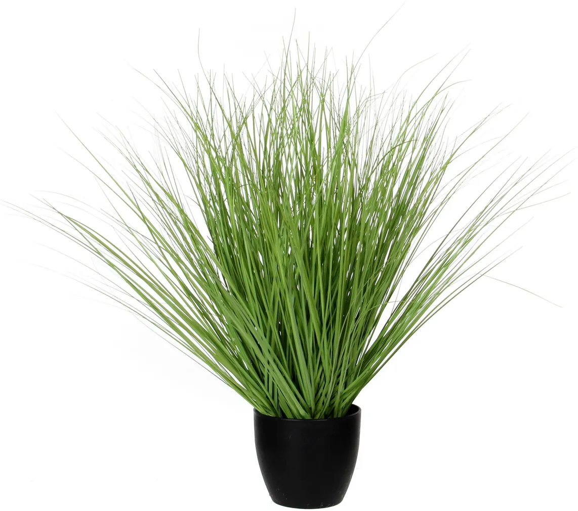 KUNSTTAIM ESSENTIAL POTIS Ø14,5-68CM ROHELINE