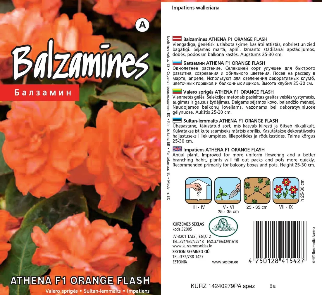 SEEMNED KURZEMES SEKLAS SULTAN-LEMMALTS ATHENA FORMULA ORANGE FLASH 5 S