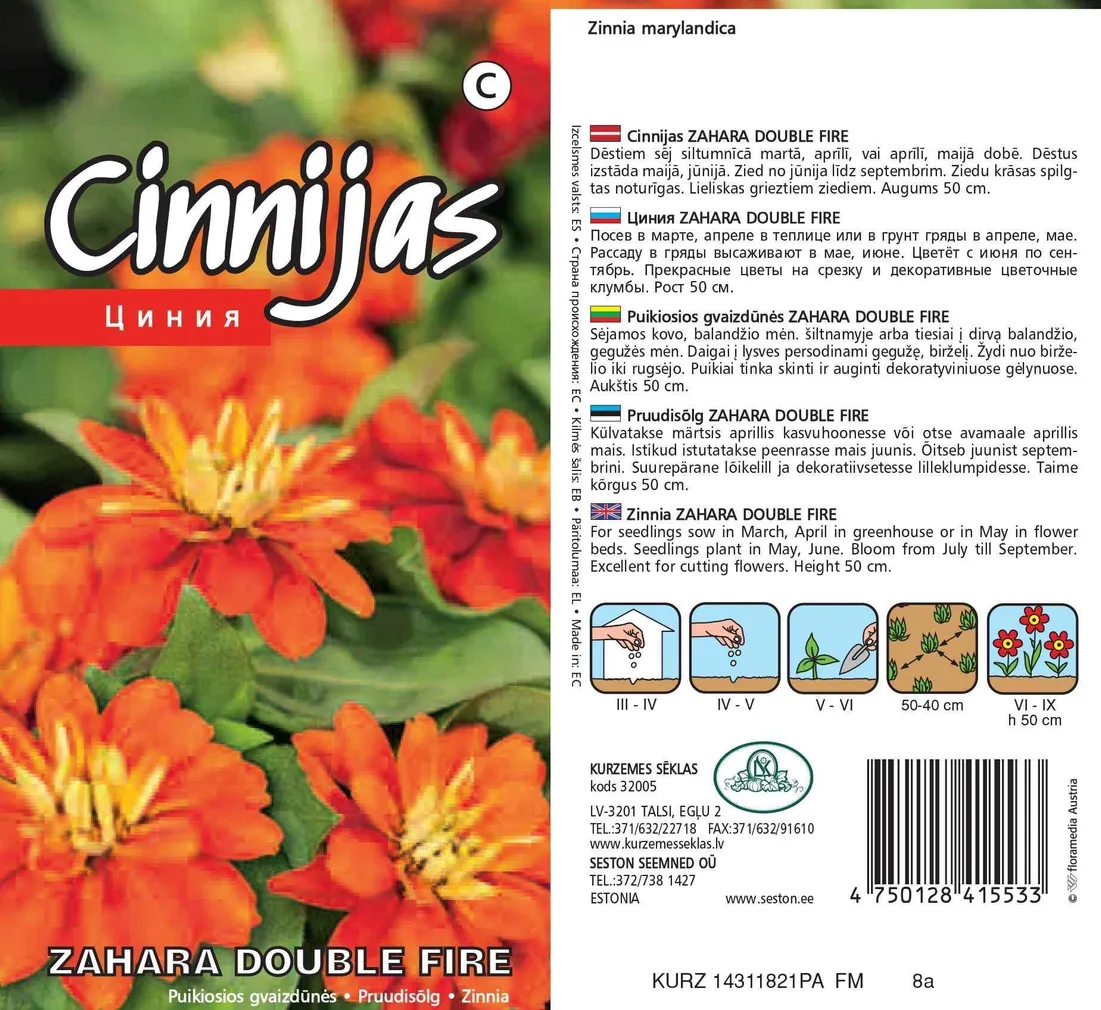 SEEMNED KURZEMES SEKLAS PRUUDISÕLG ZAHARA DOUBLE FIRE 10 S