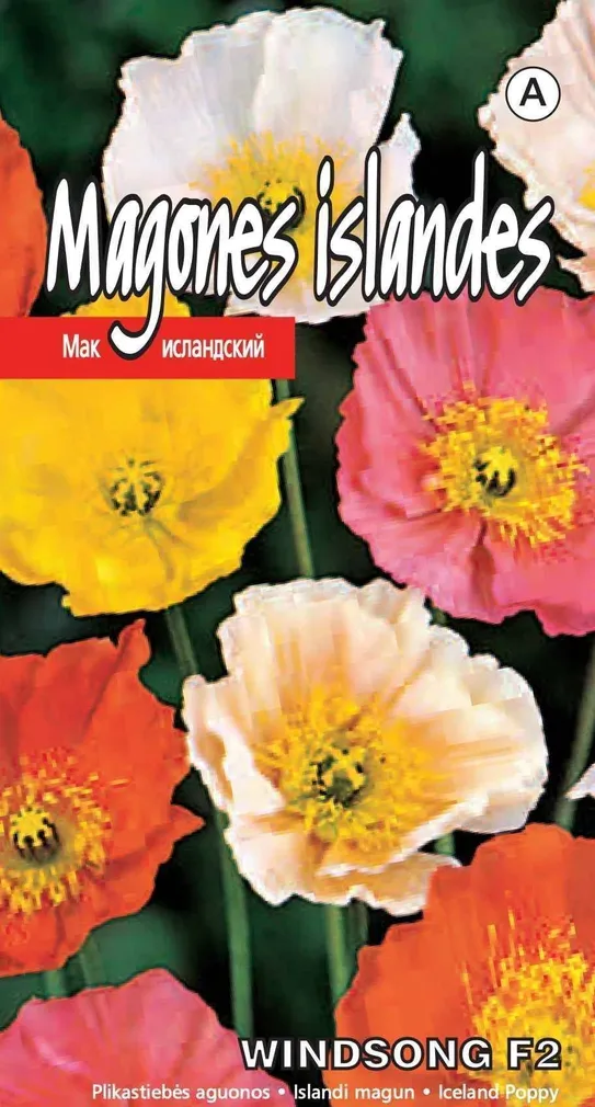 SEEMNED KURZEMES SEKLAS ISLANDI MAGUN WINDSONG F2 0,05 G