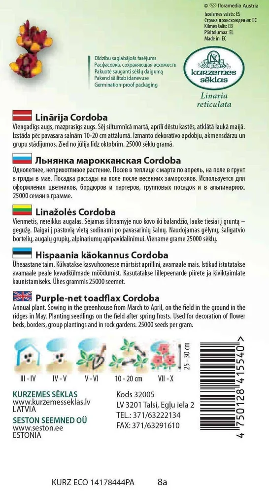 SEEMNED KURZEMES SEKLAS HISPAANIA KÄOKANNUS CORDOBA 0,3 G