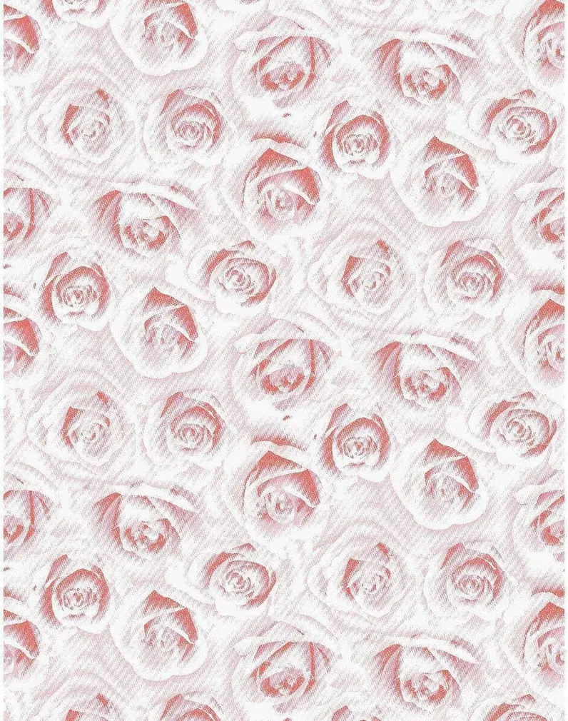 DUŠIKARDIN DUSCHY ROSFANG 627-96 180X200CM POLÜESTER