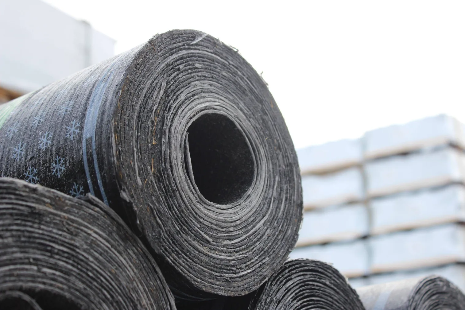 SBS KATUSEKATE PALMAKO