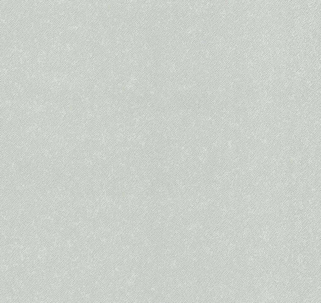 TAPEET DUTCH WALLCOVERINGS NON WOVEN HALL 13337-50