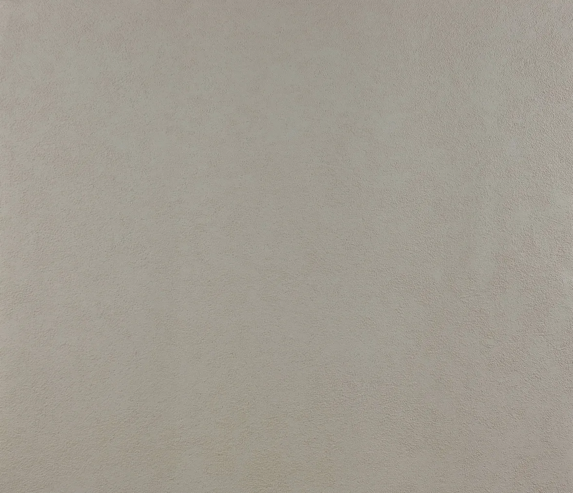 TAPEET DUTCH WALLCOVERINGS NON WOVEN BEEŽ 7109-0