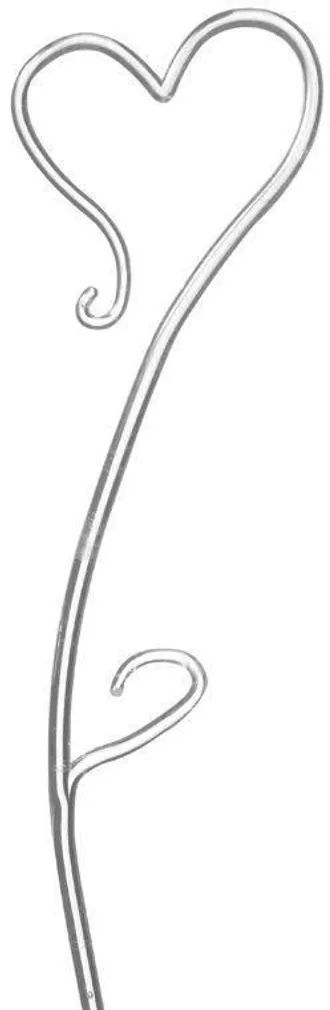 TUGIKEPP ORHIDEELE SK 55CM LÄBIPAISTEV