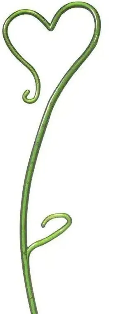 TUGIKEPP ORHIDEELE SK 55CM ROHELINE