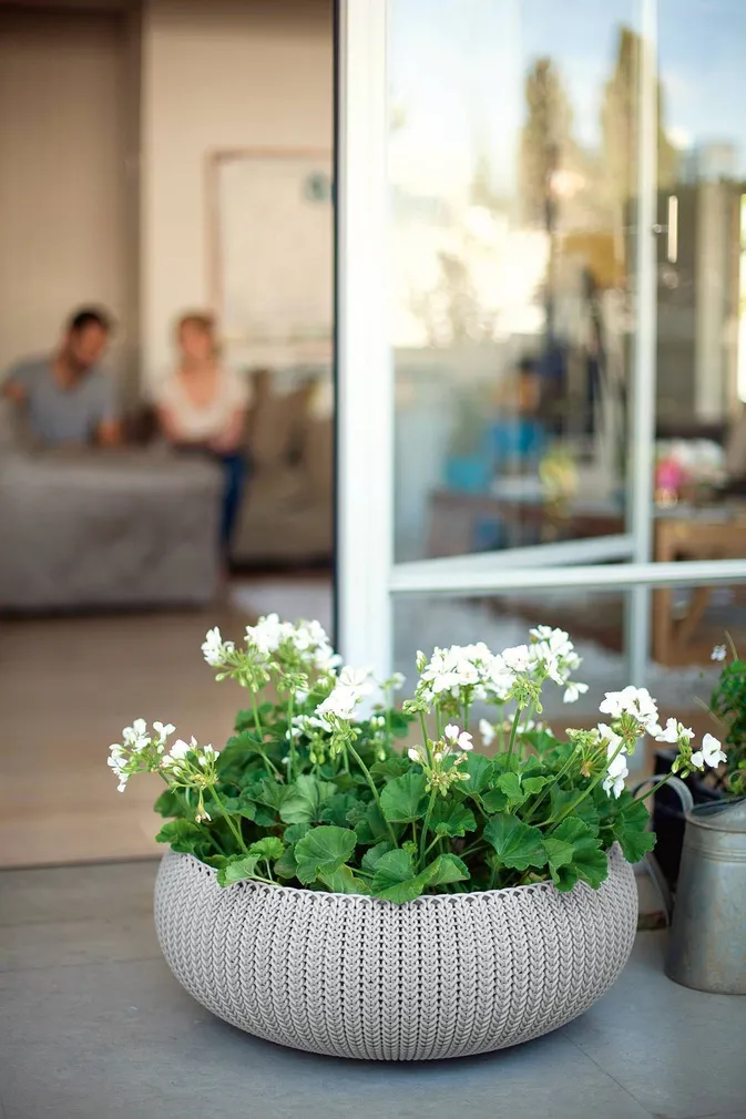 LILLEPOTIÜMBRIS COZY 22,8L HALL