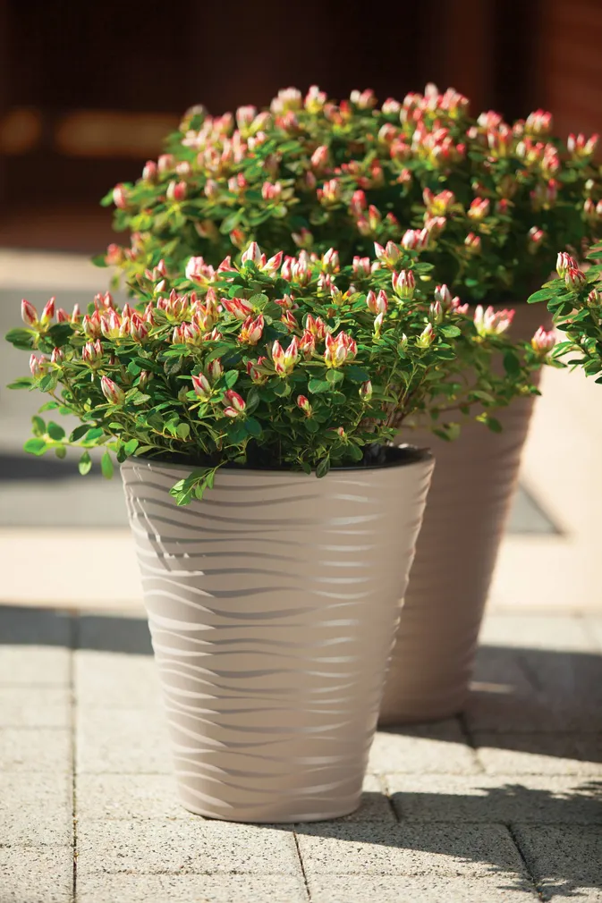 LILLEPOTT FORM-PLASTIC DUNES ÜMAR PRUUN 35CM