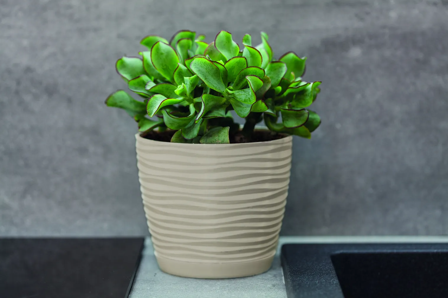 LILLEPOTT FORM-PLASTIC SAHARA ÜMAR BEEŽ 11CM