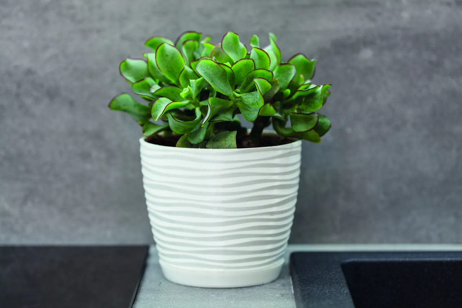 LILLEPOTT FORM-PLASTIC SAHARA ÜMAR VALGE 17CM