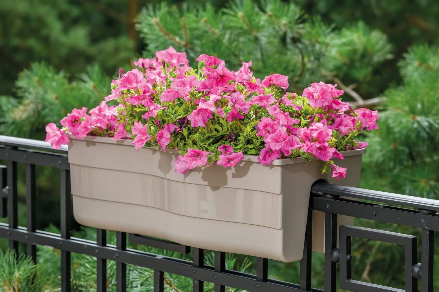 RÕDUKAST FORM-PLASTIC WAVE HELEPRUUN 60CM