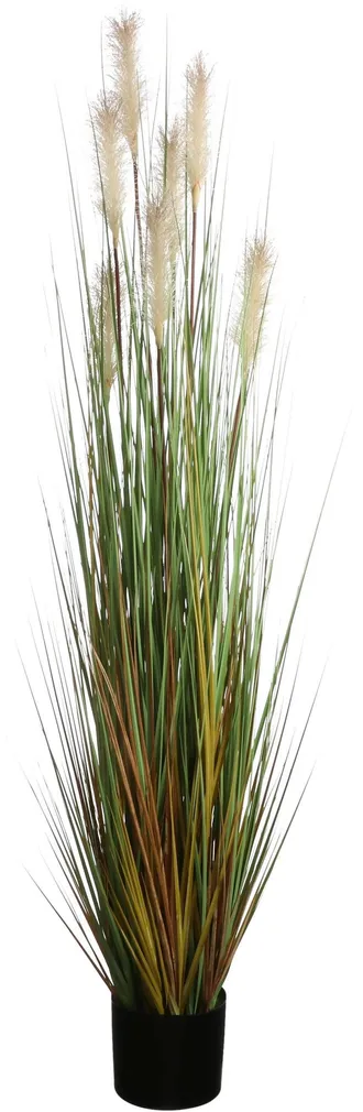 KUNSTLILL MICA DECORATIONS REBASESABA POTIS 150X70CM