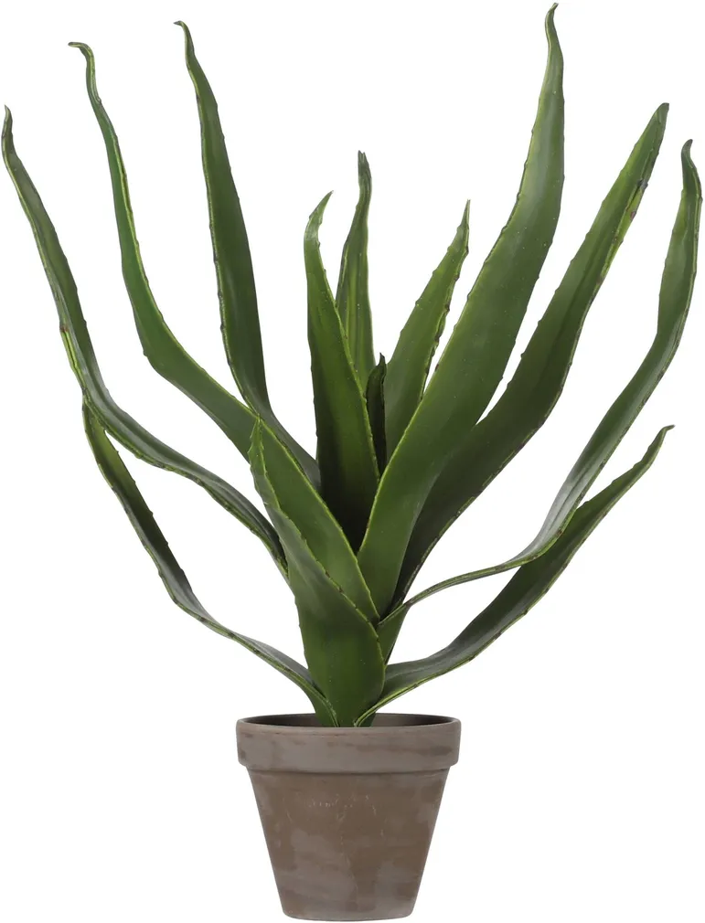 KUNSTLILL MICA DECORATIONS ALOE VERA POTIS 45X28CM