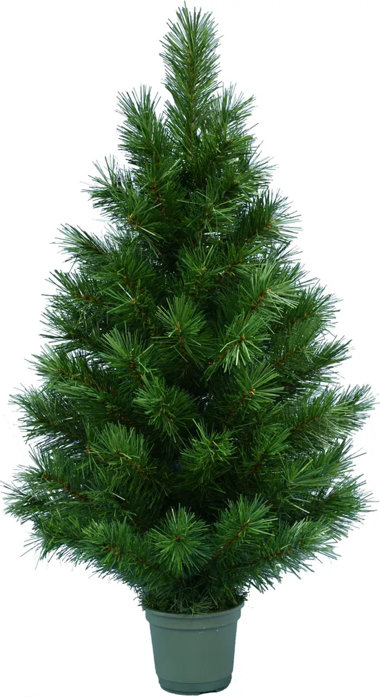 KUNSTKUUSK SCOTS PINE 90CM