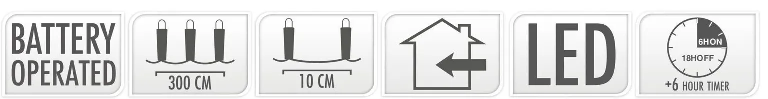 JÕULUVALGUSTUS 30 LED TAMERIGA, VALGE