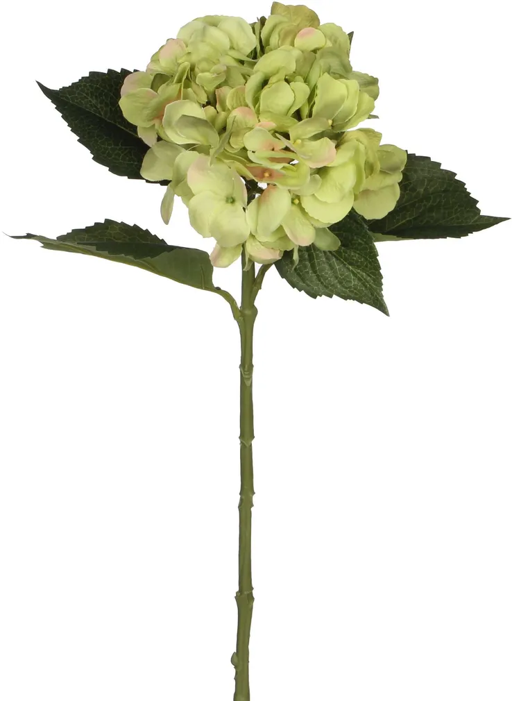 KUNSTLILL MICA DECORATIONS HORTENSIA ROHELINE 51CM