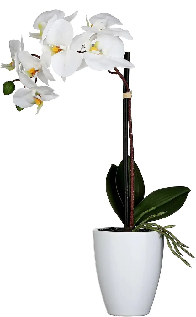 KUNSTLILL MICA DECORATIONS KUUKING VALGE 42X10CM