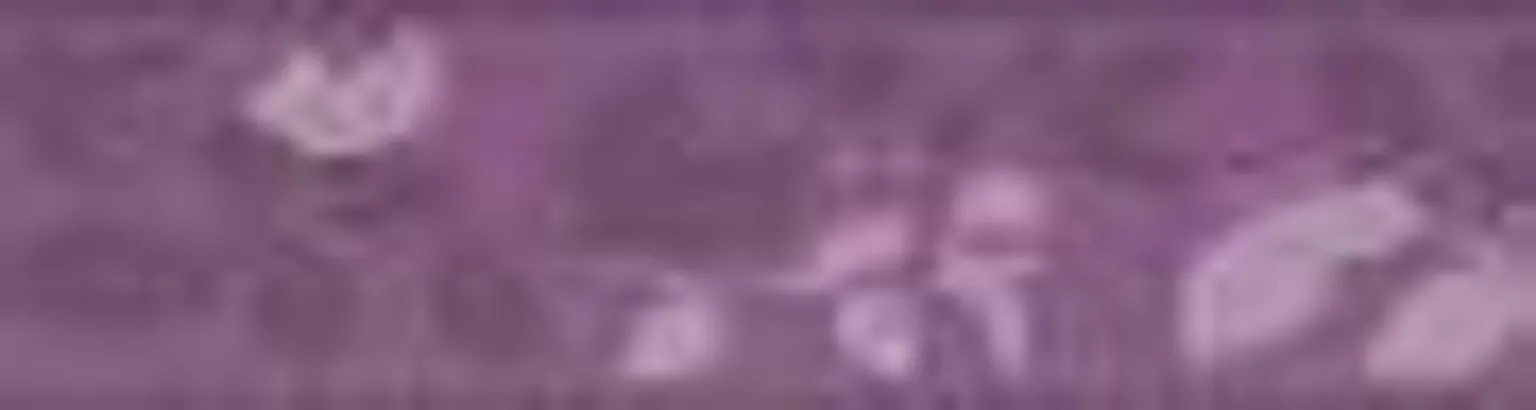 BORDÜÜR MARBURG MRB79466