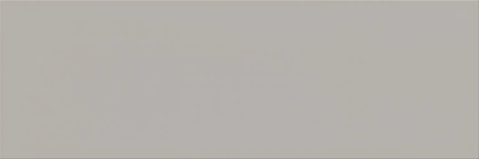 KERAAMILINE SEINAPLAAT PLAIN HALL 20X60CM 1,08M2/PAKIS